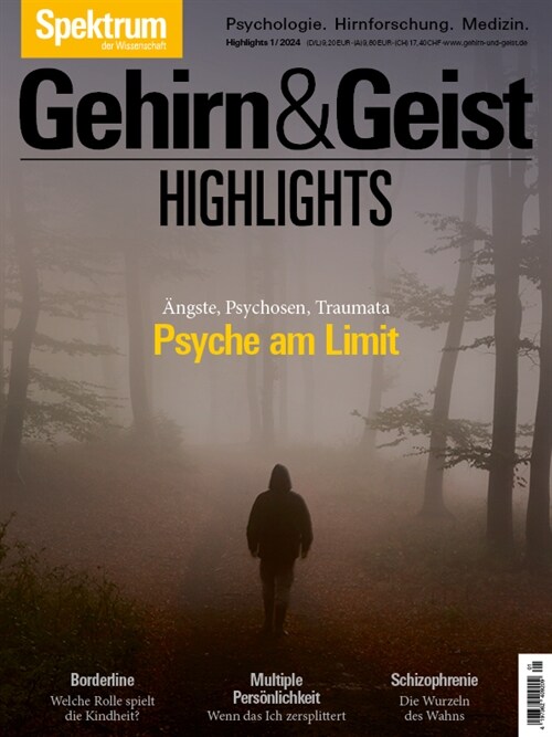 Gehirn&Geist Dossier - Psyche am Limit (Book)