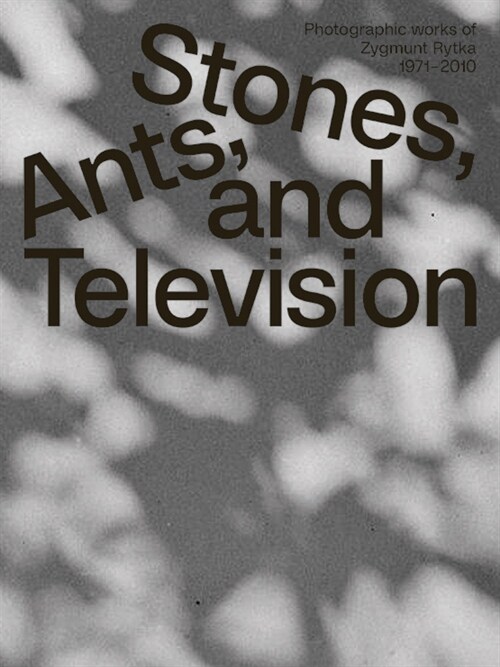 Zygmunt Rytka: Stones, Ants, and Television: Photographic Works 1971-2010 (Paperback)