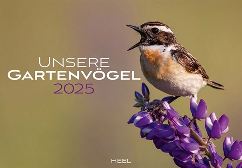 Unsere Gartenvogel Kalender 2025 (Calendar)