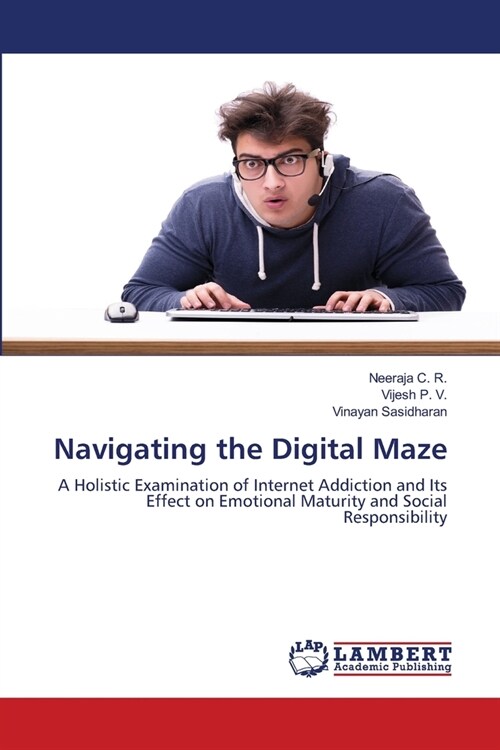 Navigating the Digital Maze (Paperback)