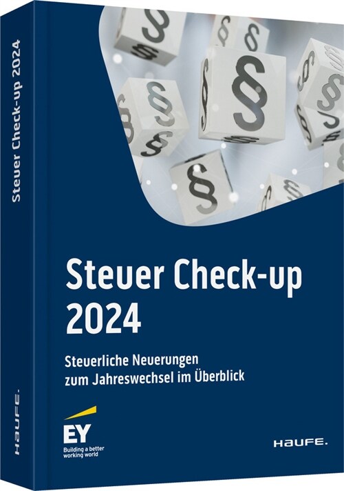 Steuer Check-up 2024 (Book)