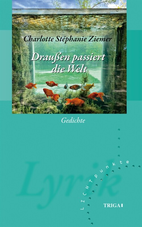 Draußen passiert die Welt (Paperback)