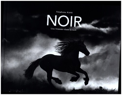 Noir (Hardcover)