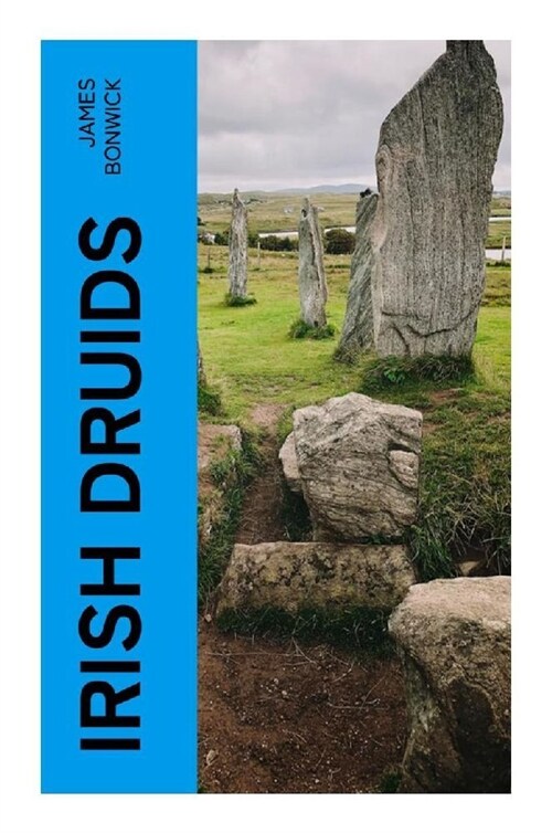 Irish Druids (Paperback)