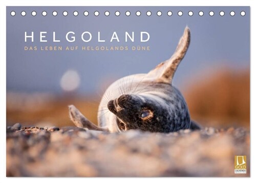Helgoland - Das Leben auf der Dune Helgolands (Tischkalender 2024 DIN A5 quer), CALVENDO Monatskalender (Calendar)
