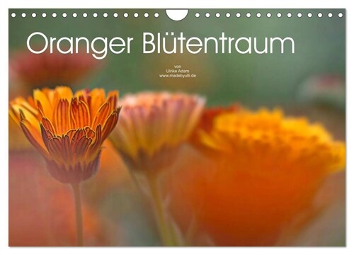 Oranger Blutentraum (Wandkalender 2024 DIN A4 quer), CALVENDO Monatskalender (Calendar)