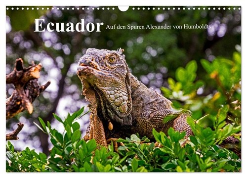 Ecuador - Auf den Spuren Alexander von Humboldts (Wandkalender 2024 DIN A3 quer), CALVENDO Monatskalender (Calendar)