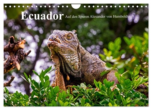 Ecuador - Auf den Spuren Alexander von Humboldts (Wandkalender 2024 DIN A4 quer), CALVENDO Monatskalender (Calendar)