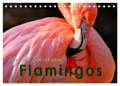 Flamingos - elegante Schonheiten (Tischkalender 2024 DIN A5 quer), CALVENDO Monatskalender (Calendar)