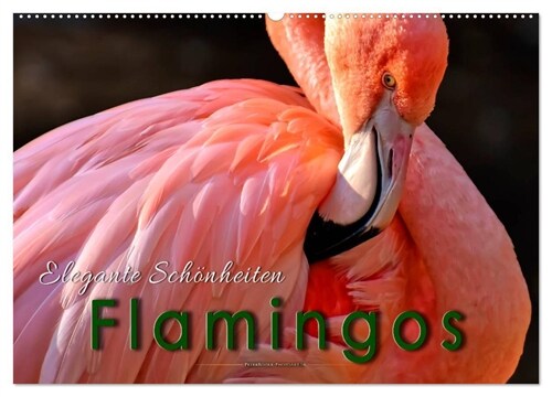 Flamingos - elegante Schonheiten (Wandkalender 2024 DIN A2 quer), CALVENDO Monatskalender (Calendar)