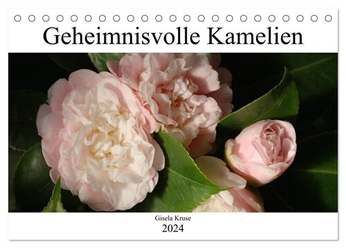 Geheimnisvolle Kamelien (Tischkalender 2024 DIN A5 quer), CALVENDO Monatskalender (Calendar)