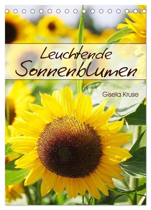 Leuchtende Sonnenblumen (Tischkalender 2024 DIN A5 hoch), CALVENDO Monatskalender (Calendar)