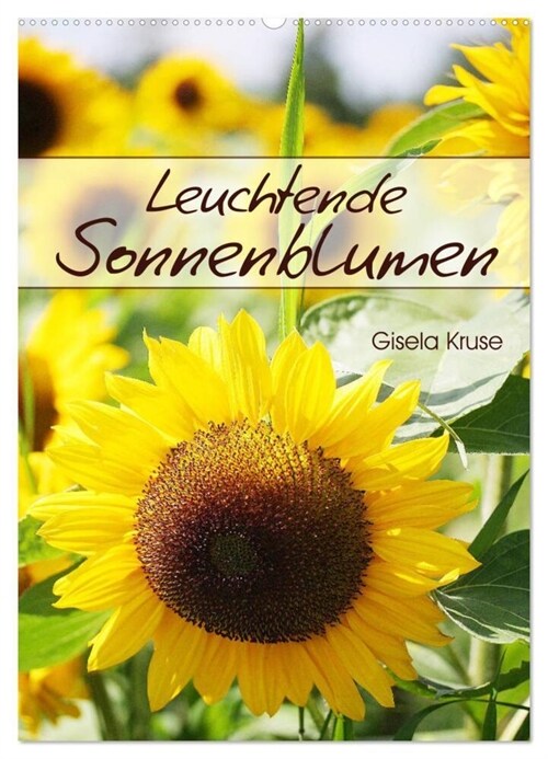 Leuchtende Sonnenblumen (Wandkalender 2024 DIN A2 hoch), CALVENDO Monatskalender (Calendar)