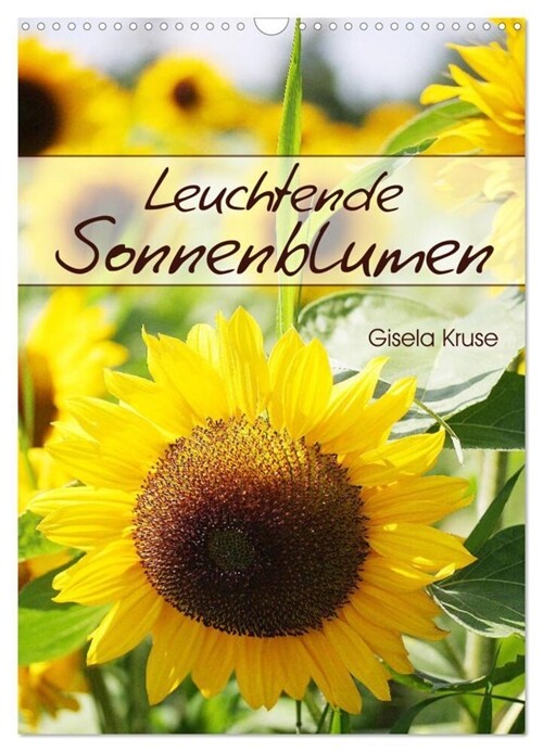 Leuchtende Sonnenblumen (Wandkalender 2024 DIN A3 hoch), CALVENDO Monatskalender (Calendar)