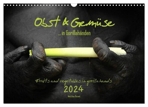 OBST & GEMUSE in Gorillahanden (Wandkalender 2024 DIN A3 quer), CALVENDO Monatskalender (Calendar)