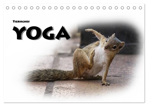 Tierisches Yoga (Tischkalender 2024 DIN A5 quer), CALVENDO Monatskalender (Calendar)