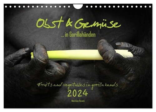 OBST & GEMUSE in Gorillahanden (Wandkalender 2024 DIN A4 quer), CALVENDO Monatskalender (Calendar)