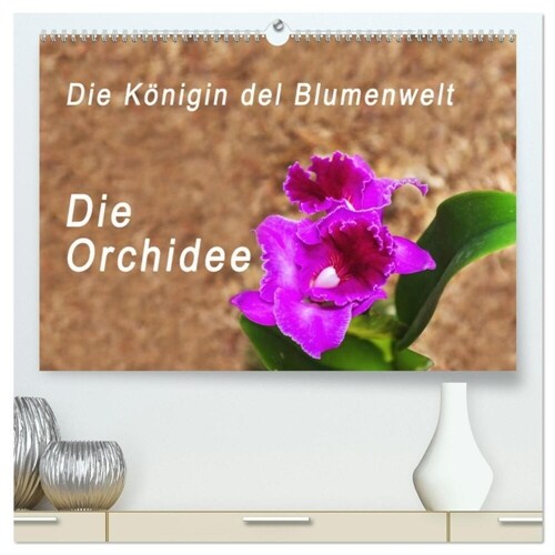 Die Konigin der Blumenwelt, die Orchidee (hochwertiger Premium Wandkalender 2024 DIN A2 quer), Kunstdruck in Hochglanz (Calendar)