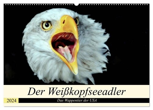 Der Weißkopfseeadler - Das Wappentier der USA (Wandkalender 2024 DIN A2 quer), CALVENDO Monatskalender (Calendar)