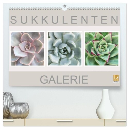 Sukkulenten Galerie (hochwertiger Premium Wandkalender 2024 DIN A2 quer), Kunstdruck in Hochglanz (Calendar)