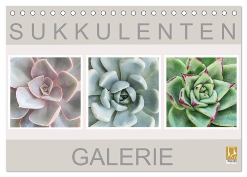 Sukkulenten Galerie (Tischkalender 2024 DIN A5 quer), CALVENDO Monatskalender (Calendar)