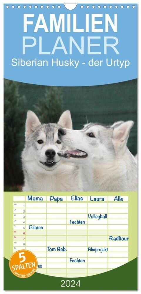 Familienplaner 2024 - Siberian Husky - der Urtyp mit 5 Spalten (Wandkalender, 21 x 45 cm) CALVENDO (Calendar)