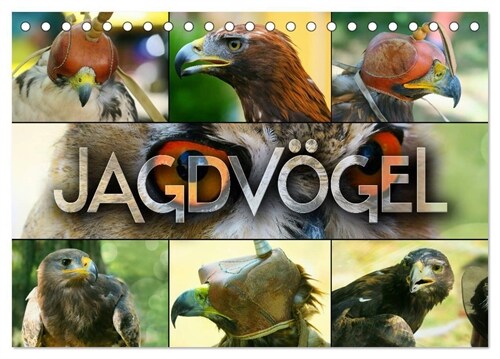 Jagdvogel (Tischkalender 2024 DIN A5 quer), CALVENDO Monatskalender (Calendar)