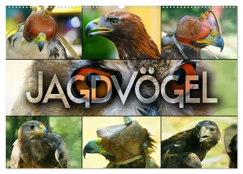 Jagdvogel (Wandkalender 2024 DIN A2 quer), CALVENDO Monatskalender (Calendar)