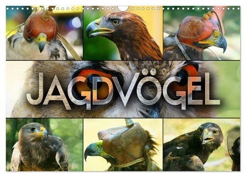 Jagdvogel (Wandkalender 2024 DIN A3 quer), CALVENDO Monatskalender (Calendar)