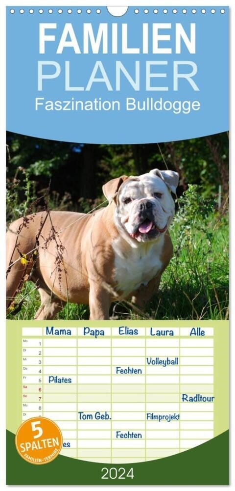 Familienplaner 2024 - Faszination Bulldogge mit 5 Spalten (Wandkalender, 21 x 45 cm) CALVENDO (Calendar)