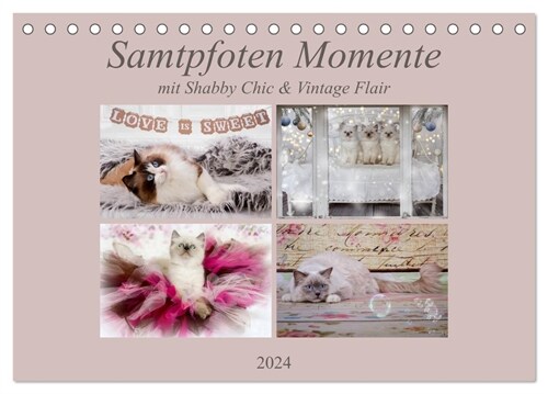 Samtpfoten Momente mit Shabby Chic & Vintage Flair (Tischkalender 2024 DIN A5 quer), CALVENDO Monatskalender (Calendar)