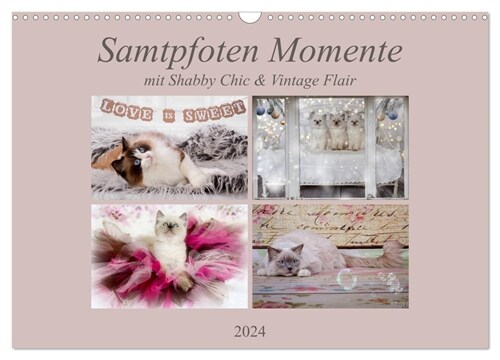 Samtpfoten Momente mit Shabby Chic & Vintage Flair (Wandkalender 2024 DIN A3 quer), CALVENDO Monatskalender (Calendar)