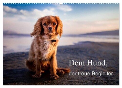 Dein Hund der treue Begleiter (Wandkalender 2024 DIN A2 quer), CALVENDO Monatskalender (Calendar)