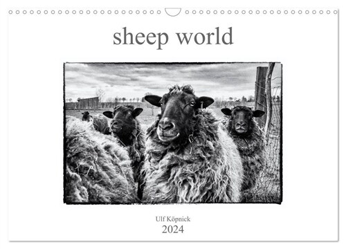 sheep world (Wandkalender 2024 DIN A3 quer), CALVENDO Monatskalender (Calendar)