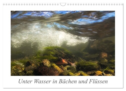 Unter Wasser in Bachen und Flussen (Wandkalender 2024 DIN A3 quer), CALVENDO Monatskalender (Calendar)