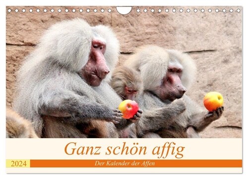 Ganz schon affig - Der Kalender der Affen (Wandkalender 2024 DIN A4 quer), CALVENDO Monatskalender (Calendar)
