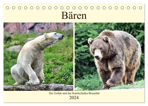 Baren - Der Eisbar und der Kamtschatka-Braunbar (Tischkalender 2024 DIN A5 quer), CALVENDO Monatskalender (Calendar)