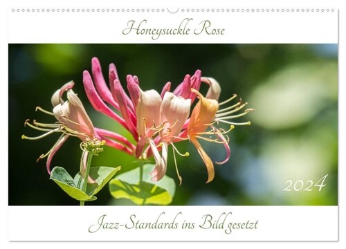 Honeysuckle Rose - Jazz-Standards ins Bild gesetzt (Wandkalender 2024 DIN A2 quer), CALVENDO Monatskalender (Calendar)