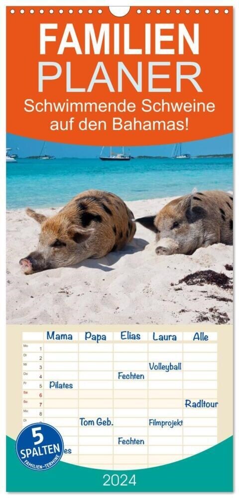 Familienplaner 2024 - Schwimmende Schweine auf den Bahamas! mit 5 Spalten (Wandkalender, 21 x 45 cm) CALVENDO (Calendar)