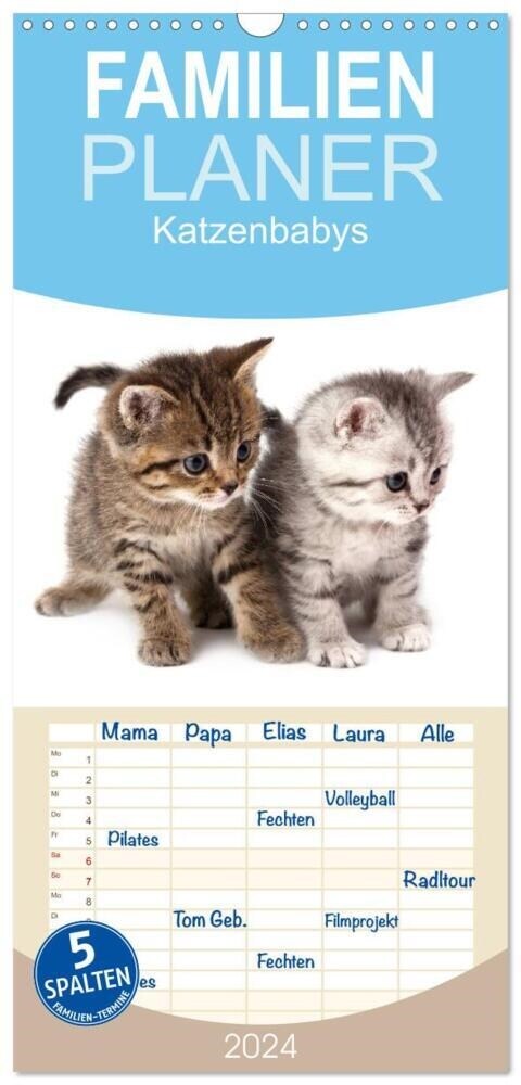 Familienplaner 2024 - Katzenbabys mit 5 Spalten (Wandkalender, 21 x 45 cm) CALVENDO (Calendar)