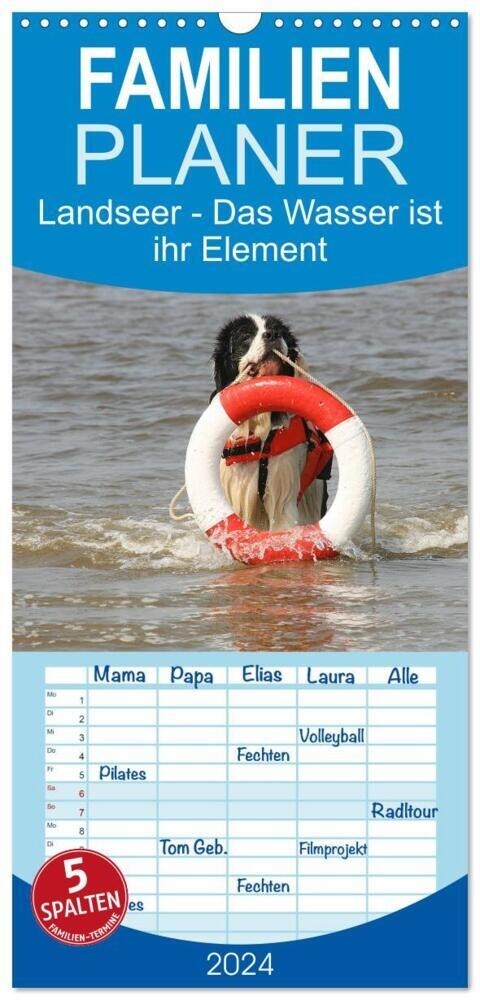 Familienplaner 2024 - Landseer - Das Wasser ist ihr Element mit 5 Spalten (Wandkalender, 21 x 45 cm) CALVENDO (Calendar)