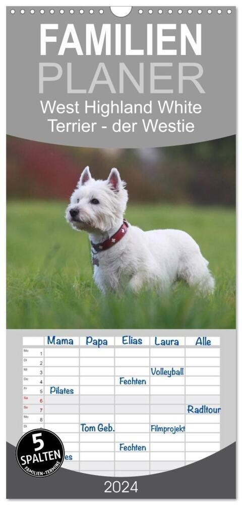 Familienplaner 2024 - West Highland White Terrier - Selbstbewustes Powerpaket - der Westie mit 5 Spalten (Wandkalender, 21 x 45 cm) CALVENDO (Calendar)