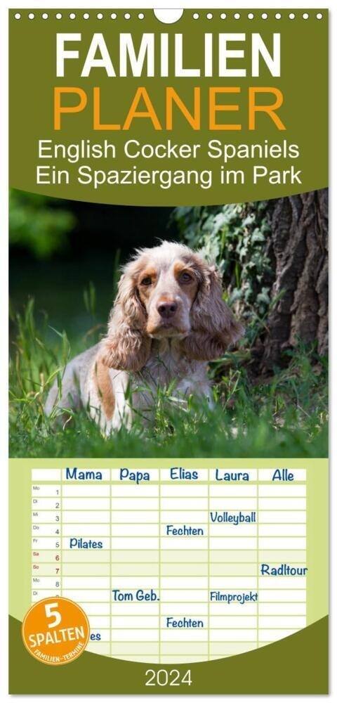 Familienplaner 2024 - English Cocker Spaniels - Ein Spaziergang im Park mit 5 Spalten (Wandkalender, 21 x 45 cm) CALVENDO (Calendar)