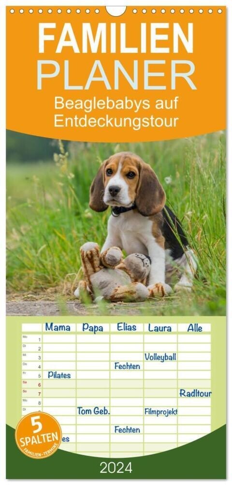 Familienplaner 2024 - Beaglebabys auf Entdeckungstour mit 5 Spalten (Wandkalender, 21 x 45 cm) CALVENDO (Calendar)