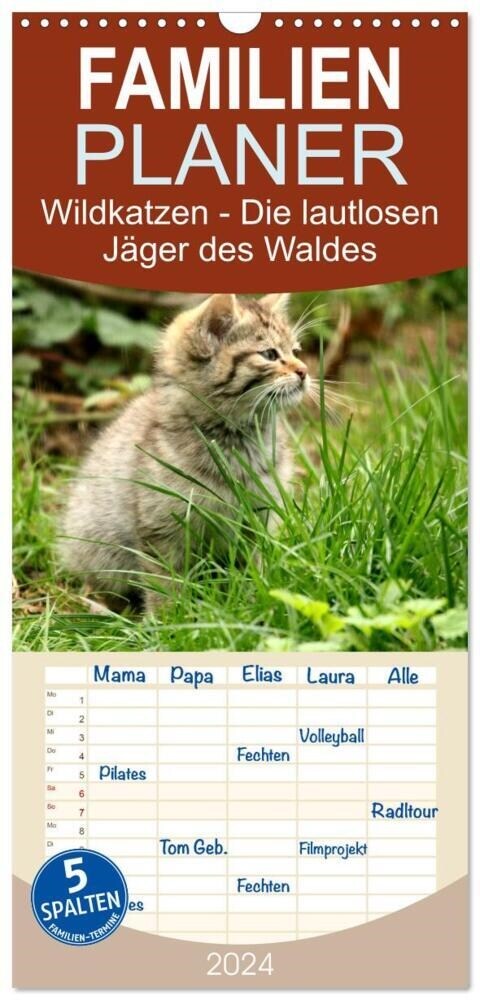 Familienplaner 2024 - Wildkatzen - Die lautlosen Jager des Waldes mit 5 Spalten (Wandkalender, 21 x 45 cm) CALVENDO (Calendar)