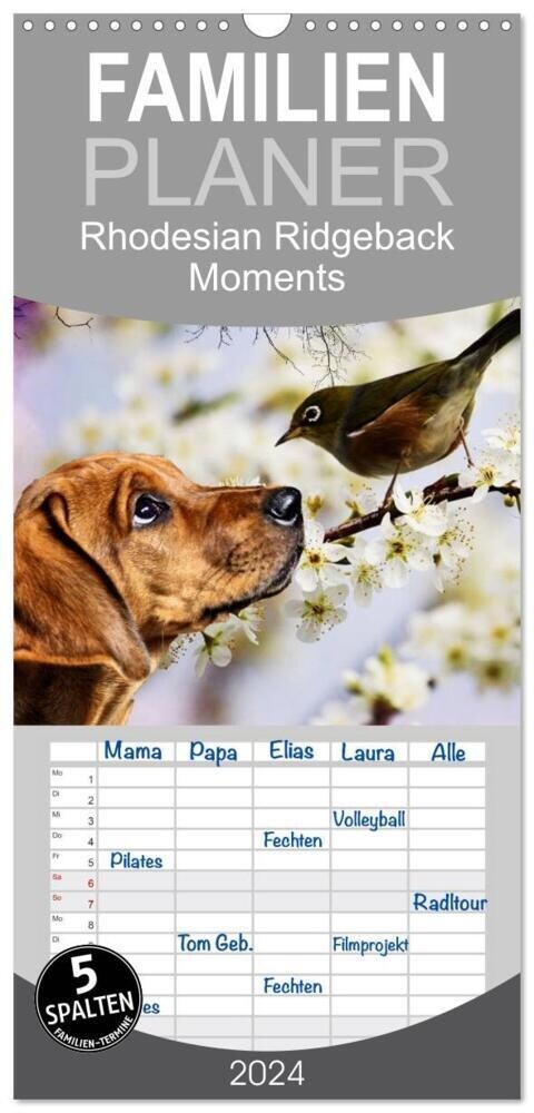 Familienplaner 2024 - Rhodesian Ridgeback - Moments mit 5 Spalten (Wandkalender, 21 x 45 cm) CALVENDO (Calendar)