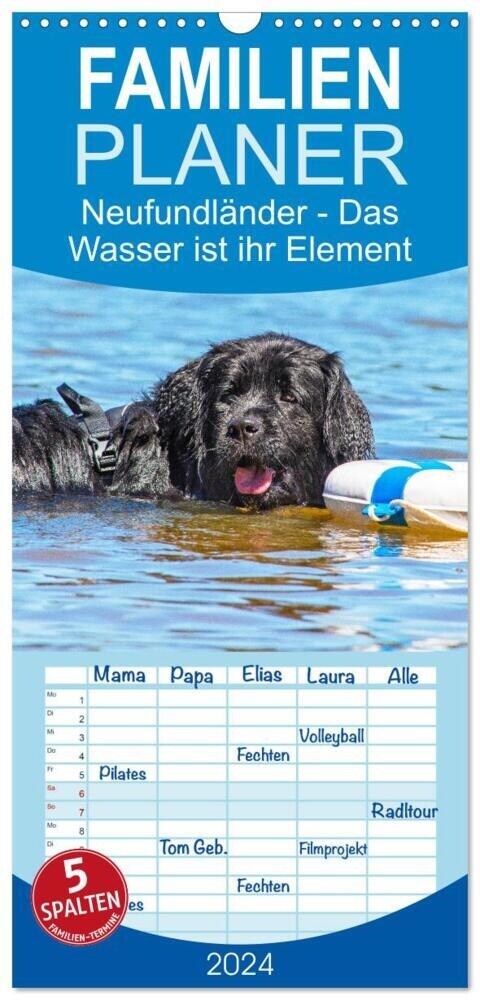 Familienplaner 2024 - Neufundlander - Das Wasser ist ihr Element mit 5 Spalten (Wandkalender, 21 x 45 cm) CALVENDO (Calendar)