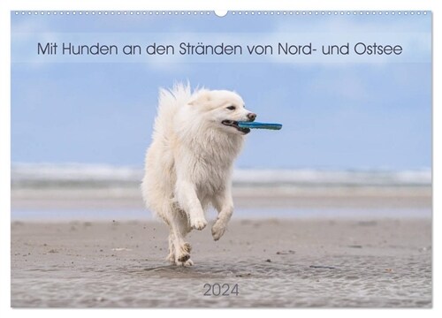 Mit Hunden an den Stranden von Nord- und Ostsee (Wandkalender 2024 DIN A2 quer), CALVENDO Monatskalender (Calendar)