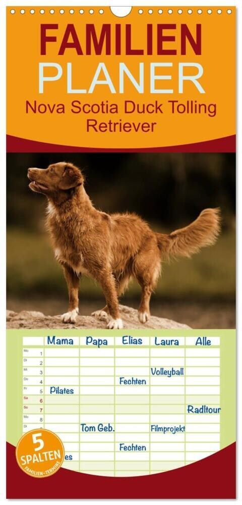 Familienplaner 2024 - Nova Scotia Duck Tolling Retriever mit 5 Spalten (Wandkalender, 21 x 45 cm) CALVENDO (Calendar)