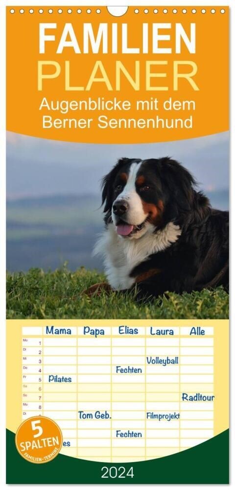 Familienplaner 2024 - Augenblicke mit dem Berner Sennenhund mit 5 Spalten (Wandkalender, 21 x 45 cm) CALVENDO (Calendar)